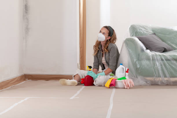 Reliable Mold Remediation contractor in Goldvein, VA by Cheap Mold Removal